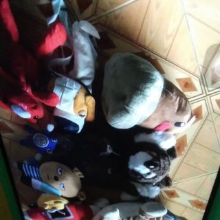 Gấu bông của nguyễn trâm