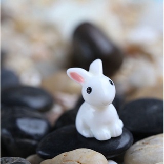 thỏ mini trang trí tiểu cảnh