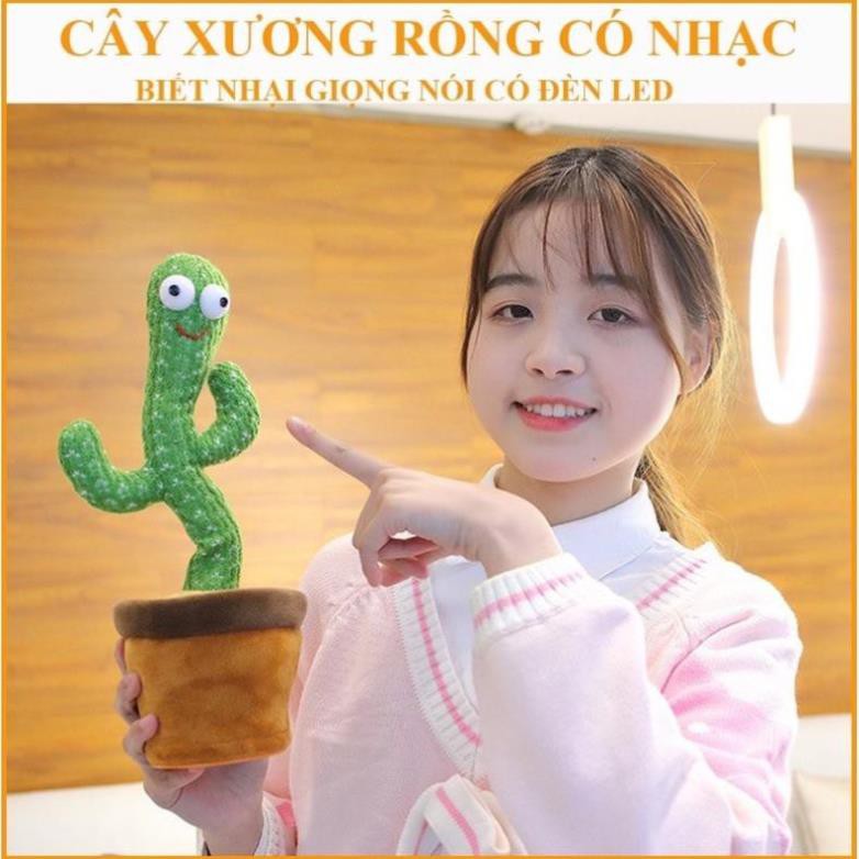 Cây sương rồng nhảy múa với 120 bài hát TikTok siêu cute