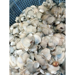 ruột thìa 500g
