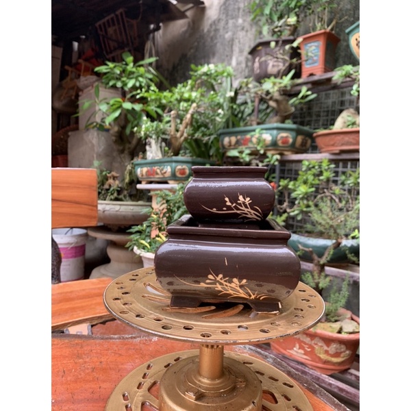 2 Vuông khum trông cây bonsai siêu mini trồng thạch xương bồ