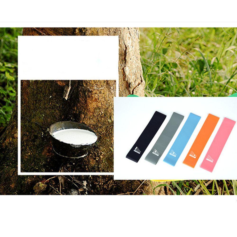 Dây Đai Kháng Lực Co Giãn Dùng Luyện Tập Thể Hình Trong Nhà Và Ngoài Trời