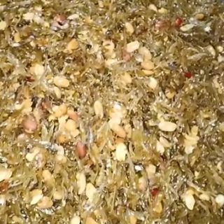Cá cơm lạc vừng