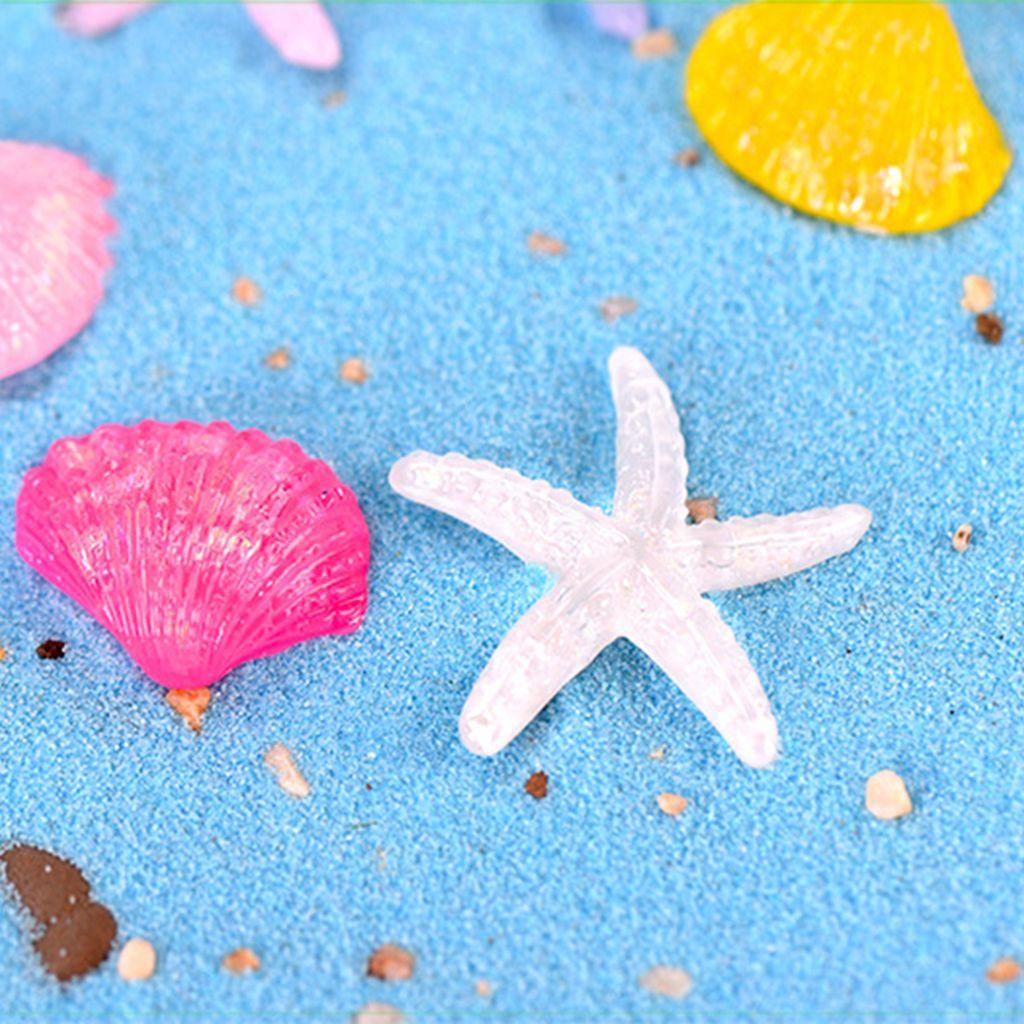 Đồ trang trí Ngôi Sao Biển Mini Trang Trí Tiểu Cảnh