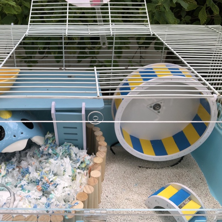 Đế wheel sắt cho hamster, sóc, bọ, nhím, thú nhỏ