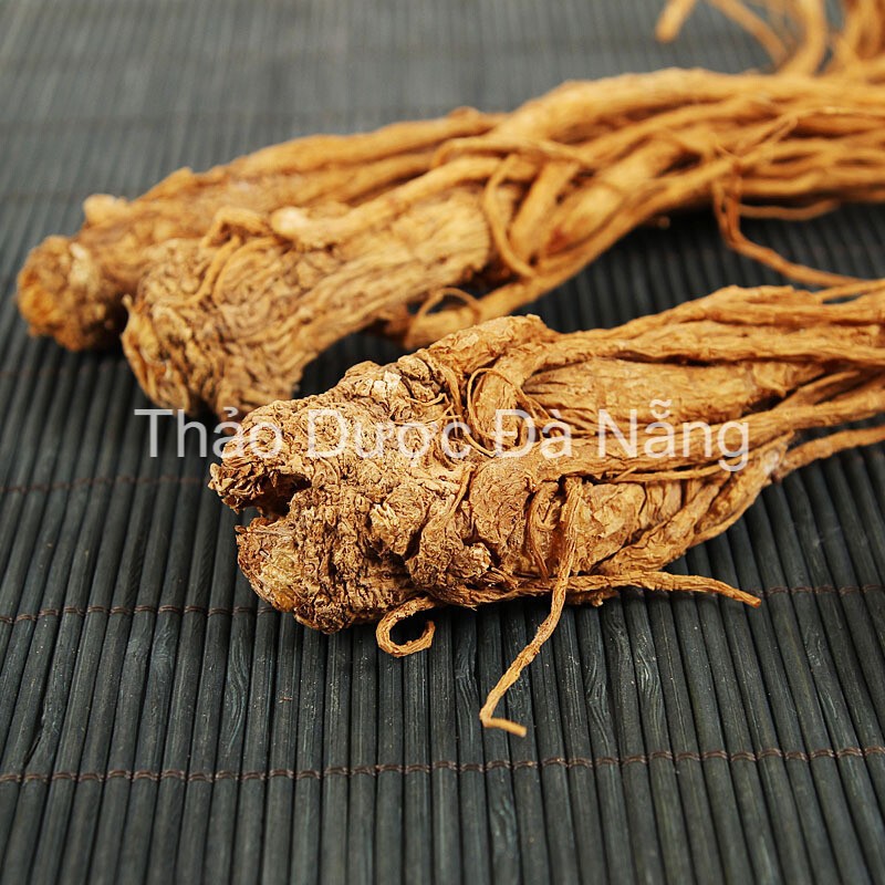 Đương Quy củ khô,vàng đẹp 100 gram.