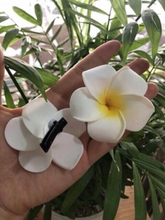 CÀI TÓC HOA SỨ SIÊU XINH