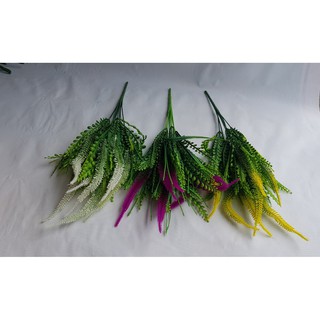 ĐIỂM ĐUÔI CHỒN