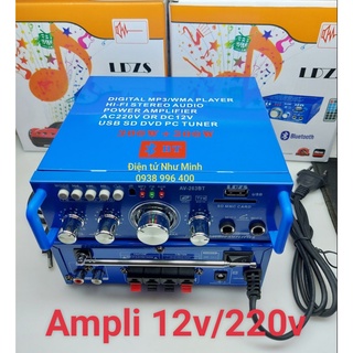 Ampli 12v/220v - ampli xe hơi