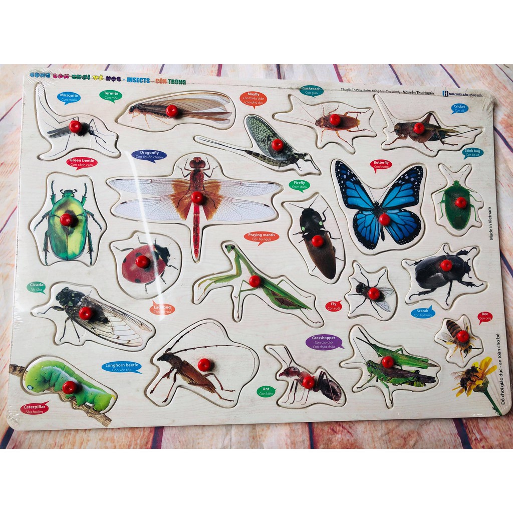 Bảng Cùng con chơi và học Insects Côn trùng MCBooks