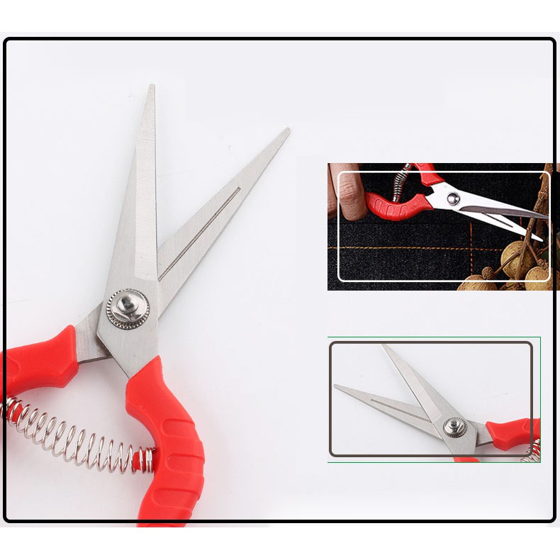 Combo 2 kéo cắt tỉa cành cây thép Nhật SK5 V8 + Kéo cắt tỉa rau, quả, nhánh, chi thép SK5