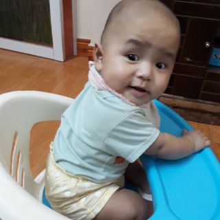 Ghế ăn dặm Việt Nhật