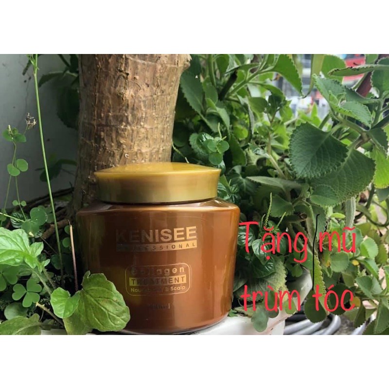 HẤP DẦU PHỤC HỒI COLLAGEN KENISEE | BigBuy360 - bigbuy360.vn