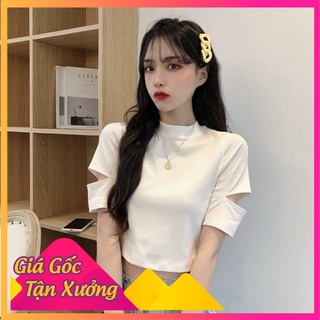 Áo Croptop Tiểu Thư Xẻ Tay Cổ Tròn Màu Trơn Co Giãn Phong Cách Hàn Quốc 2 Màu Tùy Chọn