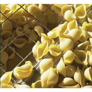 Delverde - Nui Ý lớn Conchiglioni (500g)