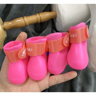 giày thú cưng đi mưa nắng