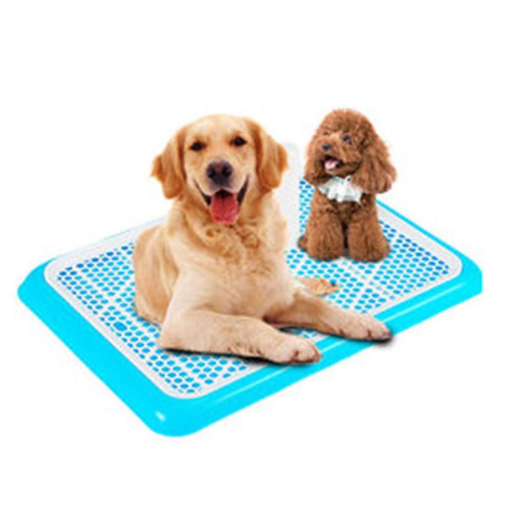 Khay vệ sinh cho chó lớn và nhỏ  - Tặng 3 tấm tã giấy -khay đi vệ sinh cho chó đực và chó cái