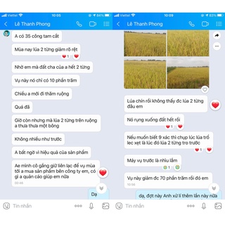 Combo 5 gói xử xử lý lúa lộn, lúa cỏ, lúa 2 tầng BS11 Quản lý lúa lộn NSX Bacsicayxanh