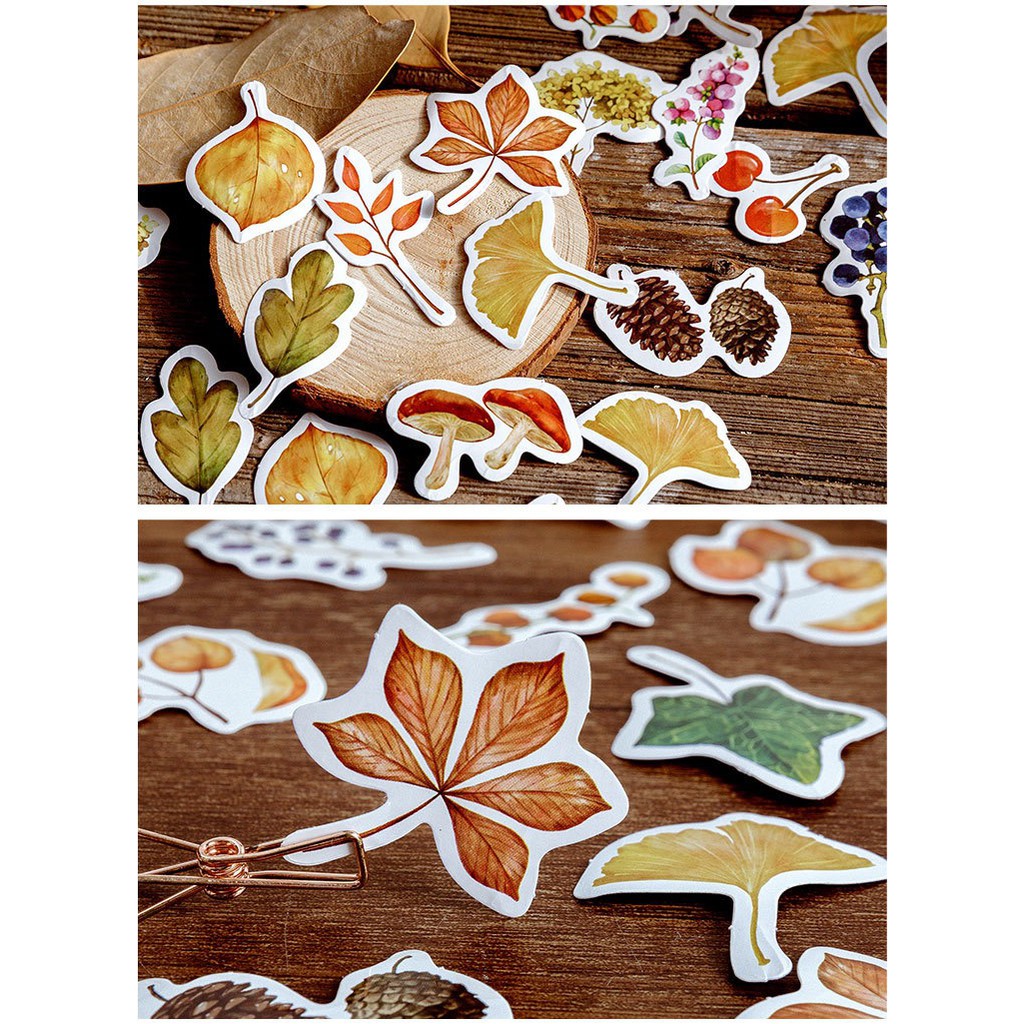 Bộ sticker/ Hình dán Kiểu Dáng Rừng Thông & Hạt Dẻ