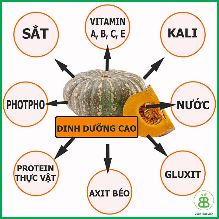 Hạt Giống Bí Đỏ 2Gr Siêu Ngọt, Giàu Dinh Dưỡng