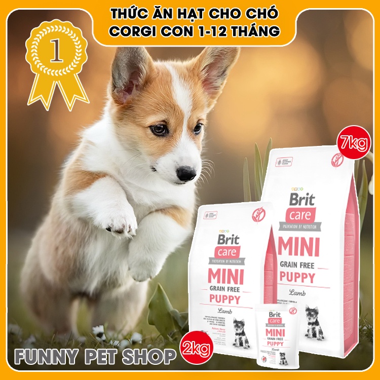 Thức ăn hạt cho chó Corgi con 1-12 tháng vị thịt cừu | Nhập khẩu châu Âu, Top 1 Cộng Hòa Séc