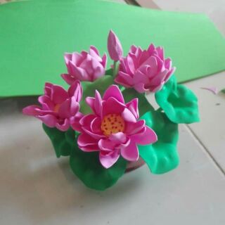 Hoa xốp mầm non. Hoa sen bitis