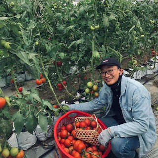 Tương cà chua Spico