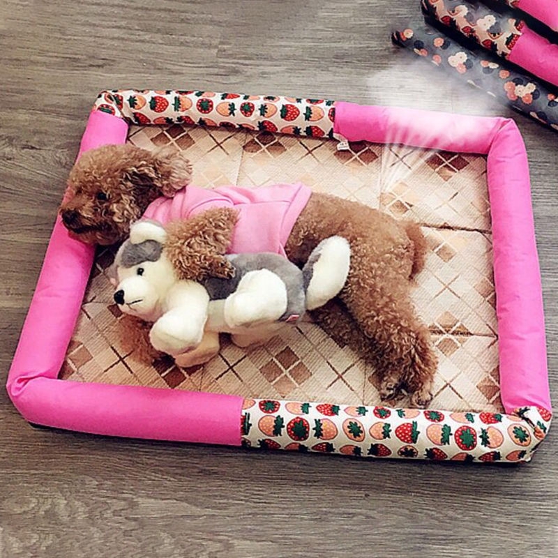 Beautiful Summer Bed For Pets