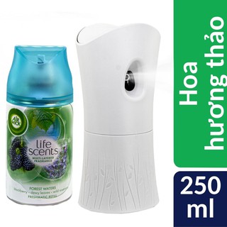 Bộ phun tinh dầu tự động Air Wick Forest Water 250ml QT07388 - hoa hương thảo