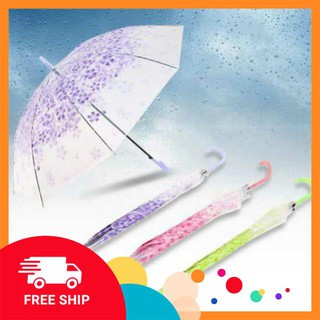 Combo 5 ô dù trong suốt 3D