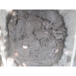 5kg Bùn Trồng Sen Súng