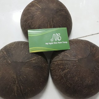 Bát gáo dừa mọc