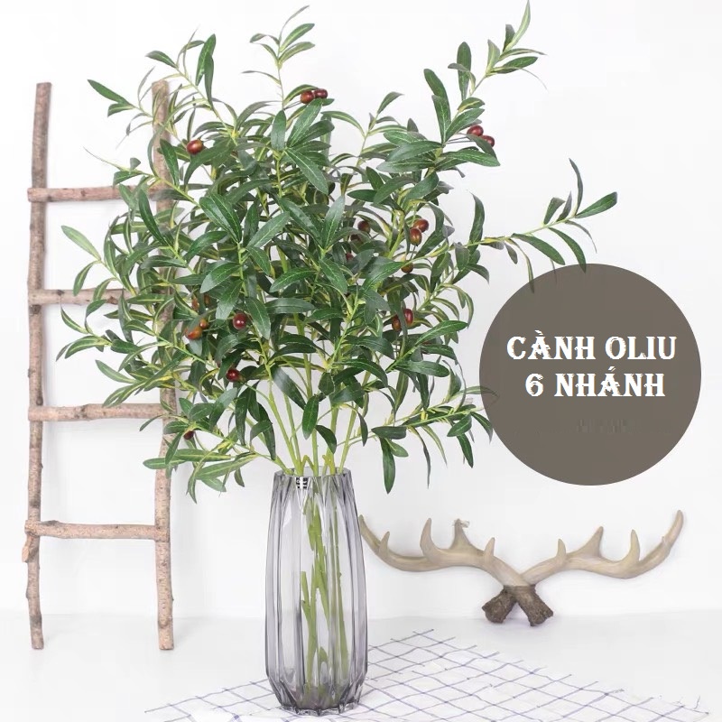 Cành Lá Oliu có quả trang trí ,decor, gắn thân cây oliu lá xanh
