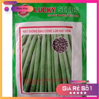 Hạt giống đậu cove lùn hạt đen (50gr) LUCKY.VN