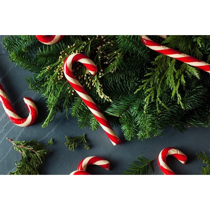 Kẹo gậy Candy Canes Giáng sinh hộp 12 cây - Mỹ