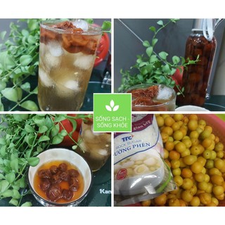 [Nhà Làm Nguyên Chất] Nước Mơ Ngâm Đường Phèn Giải Nhiệt Mùa Hè, Tăng Sức Đề Kháng Chai 500ml