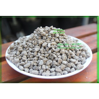Đá bọt pumice indo gói 1 ký,size 5-8mm trồng cây, hoa kiểng