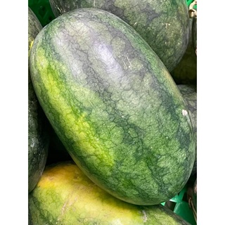 Dưa hấu chỉ giao HCM