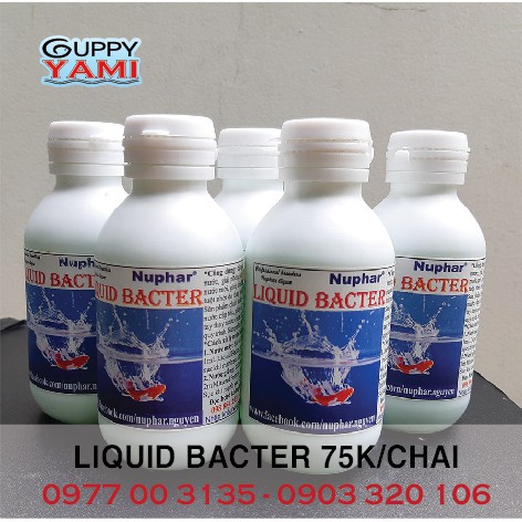 Liquid Bacter Nuphar - dung dịch chống sốc nước cho cá