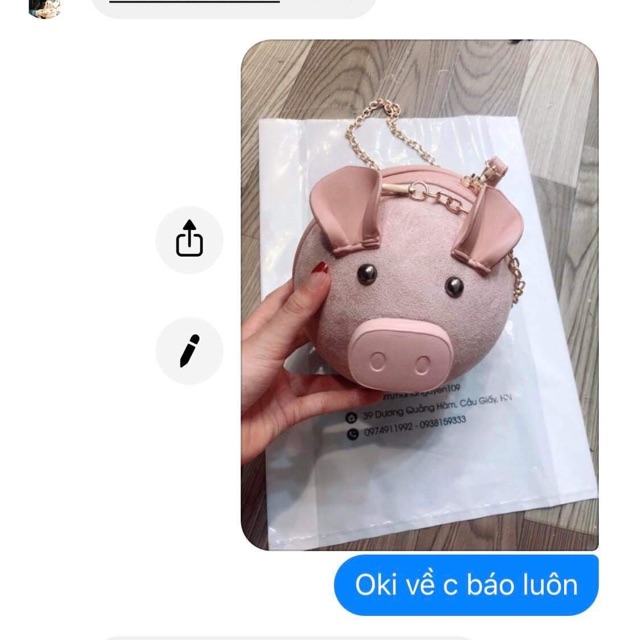 Túi lợn hồng