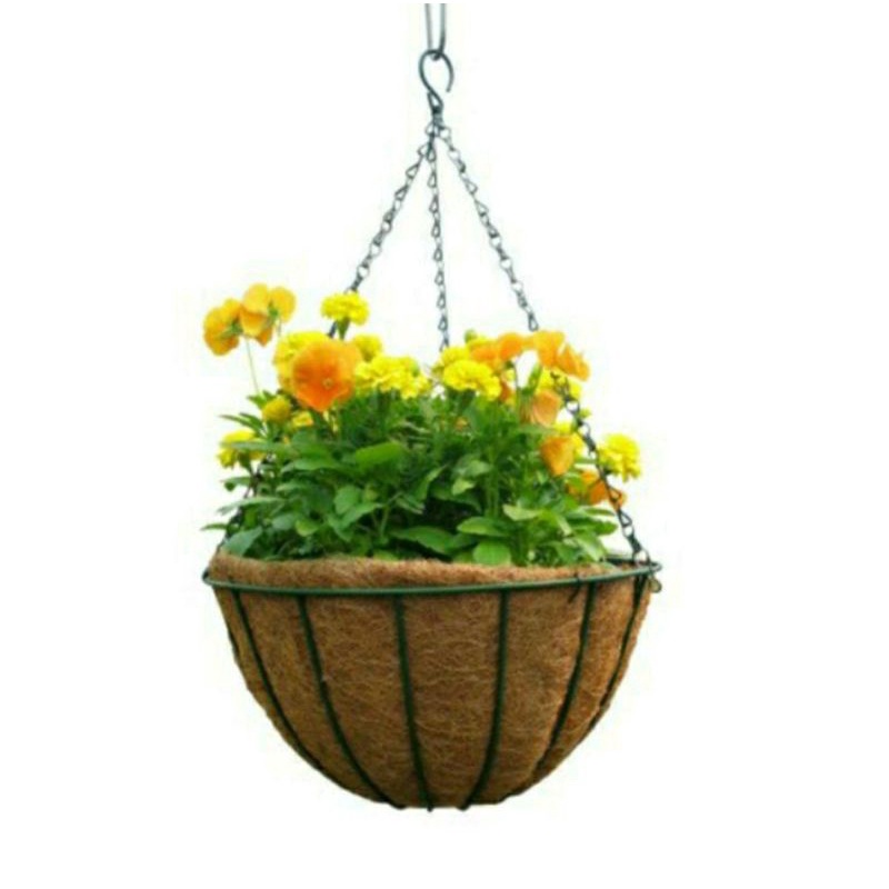 bán sỉ 15 chậu treo sơ dừa đường kính 25cm