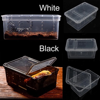 Image of Square Box Reptile S 19x12.5x7.5cm - Feeding Box - Kotak Reptile Tarantula Vivarium Nomoy H3