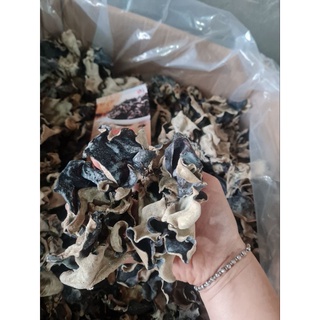 Mộc nhĩ rừng Cao Bằng