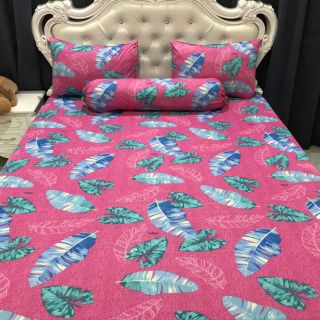 Bộ Drap Thun Hàn Quốc mát lạnh 4 món (Inbox nhiều mẫu lựa chọn)