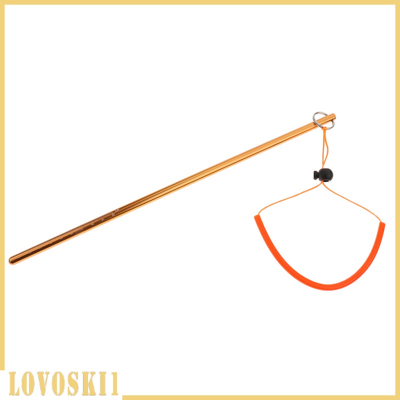 Gậy chỉ bằng hợp kim nhôm siêu nhẹ có dây đeo cổ tay 34cm/ 13.4" | BigBuy360 - bigbuy360.vn