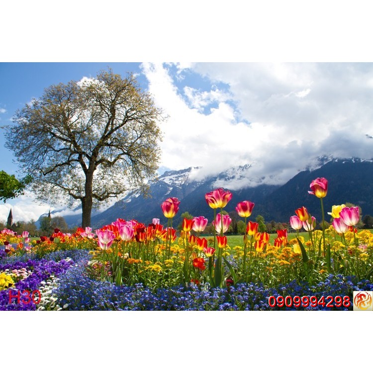 Tranh dán tường Hoa 3d, tranh hoa lá nhiều mẫu - TRANH NỀN PHÒNG LIVE TREAM