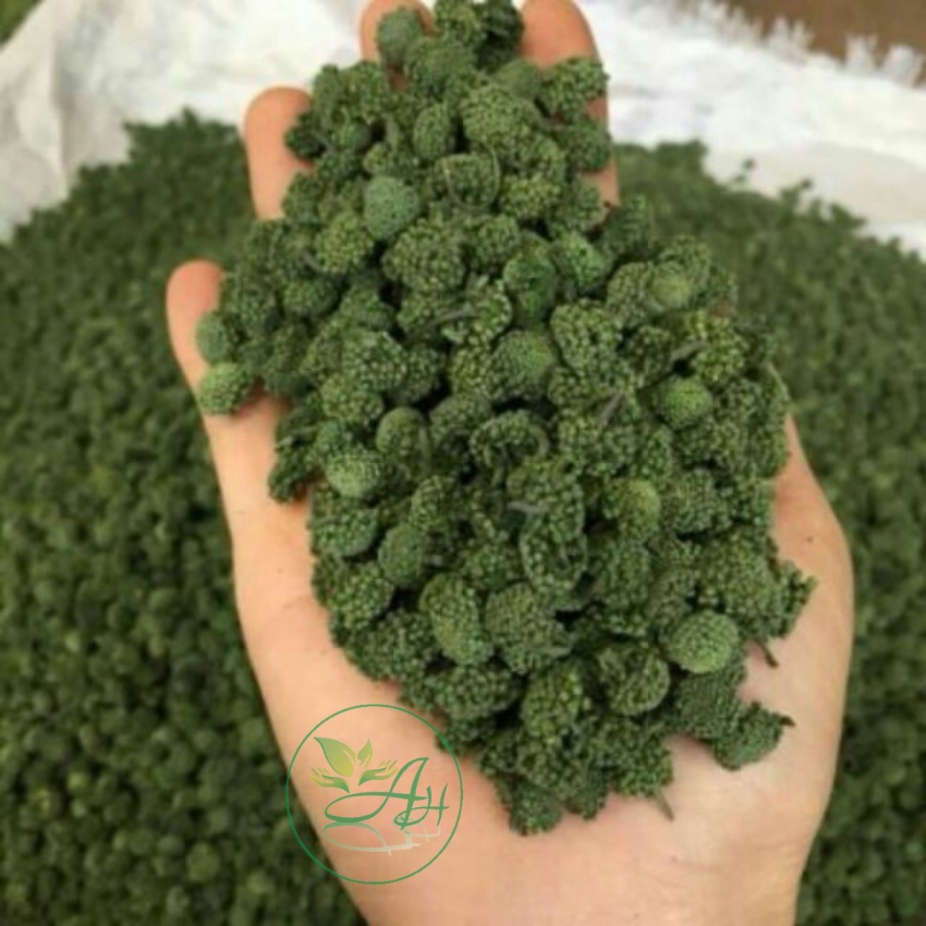 Nụ Hoa Tam Thất Sấy Khô 100gr Tự Nhiên Loại Đẹp Nguyên Nụ Không Vụn Tốt Cho Sức Khỏe