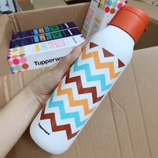 Bình Nước Eco Bottle Fancy 750ml