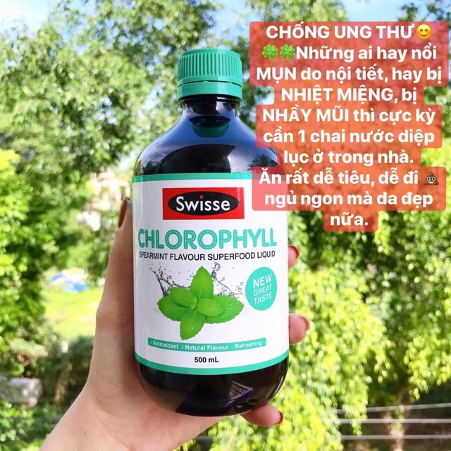 Hộp đựng trà giảm cân