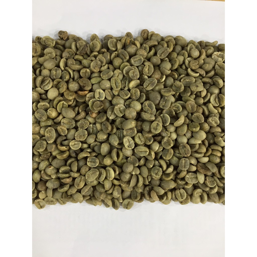 Cà Phê Nhân Xanh Arabica Sàng 16-18 chất lượng tuyệt vời từ Hemera (2kg) Tặng 2 gói cafe hòa tan 3in1